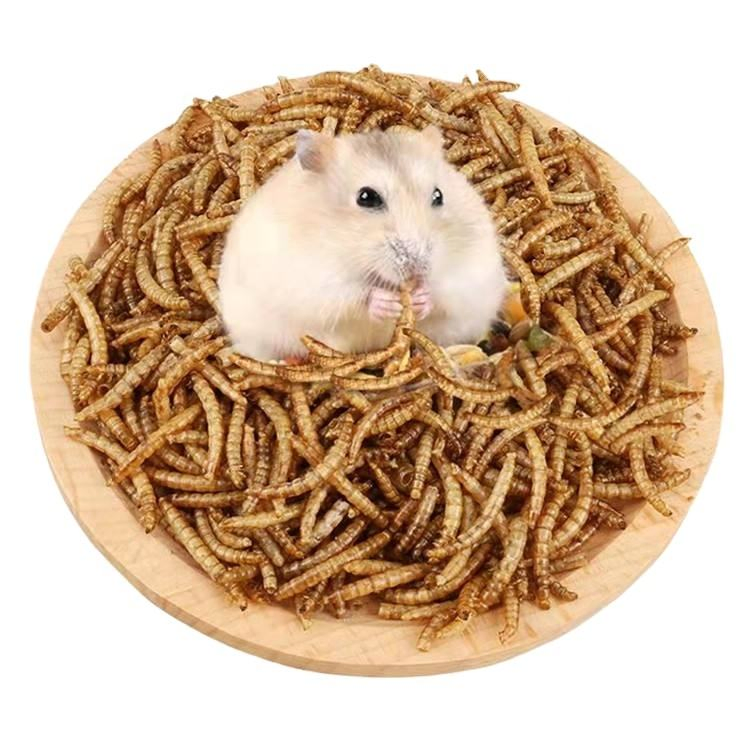100% Natural High Protein Dry Mealworm Black Fly Dried Bread Worms Pet Treats Pet Food for Birds Hamsters