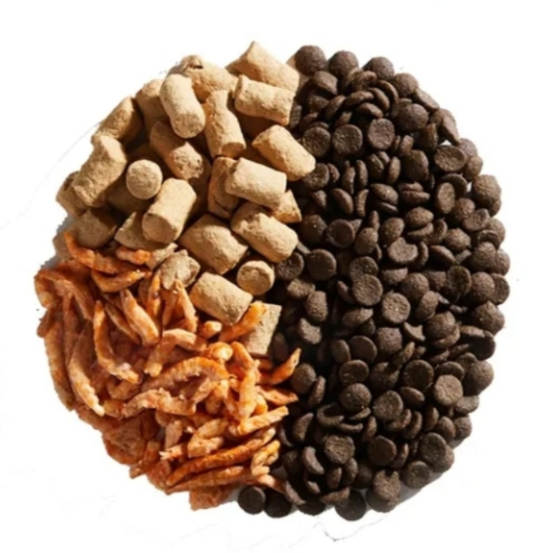 Premium Grain-Free Dog Food for Optimal Pet Health