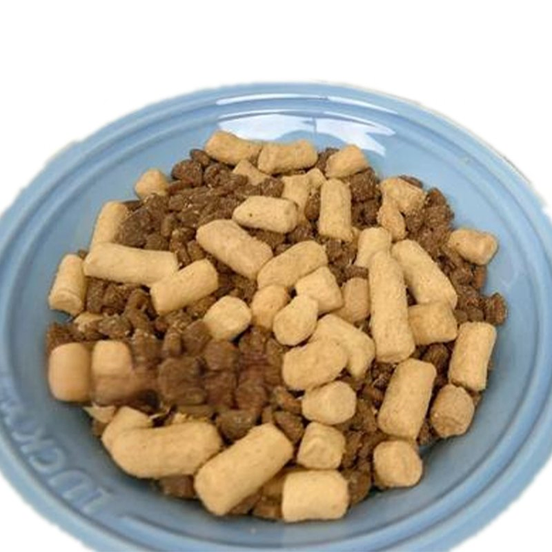Premium Chicken and Pumpkin Dog Food for Healthy Digestion