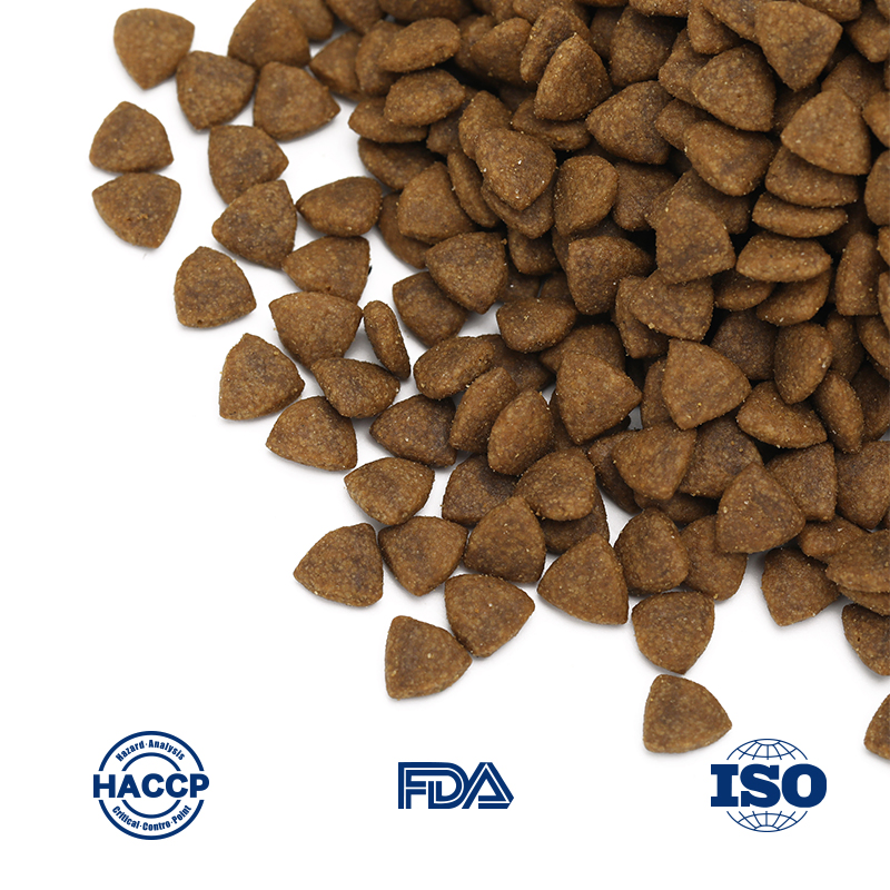 Premium Natural Cat Food for Enhanced Health and Energy