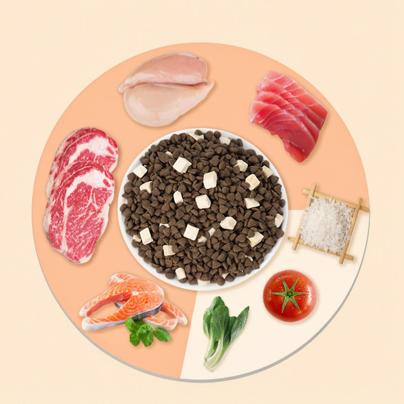 OEM Cat Food Factory Exports 10kg High Protein Pet Food Raw Chicken Flavors Customized Shapes All Age Cat Dry Food