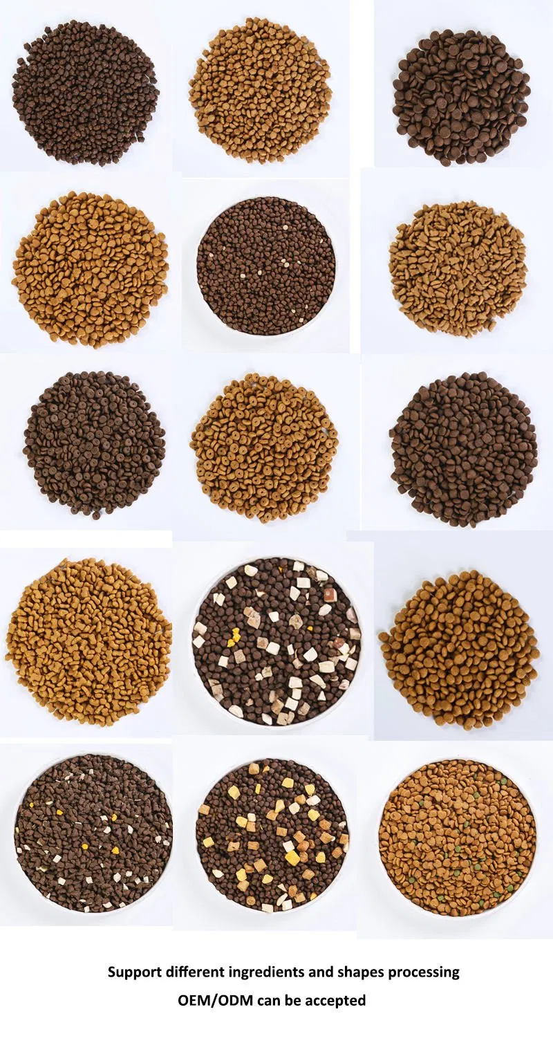 OEM/ODM China Manufacturer Wholesale Price High Protein Cat Food, 1kg Bag Balanced Nutrition Dry Kibble