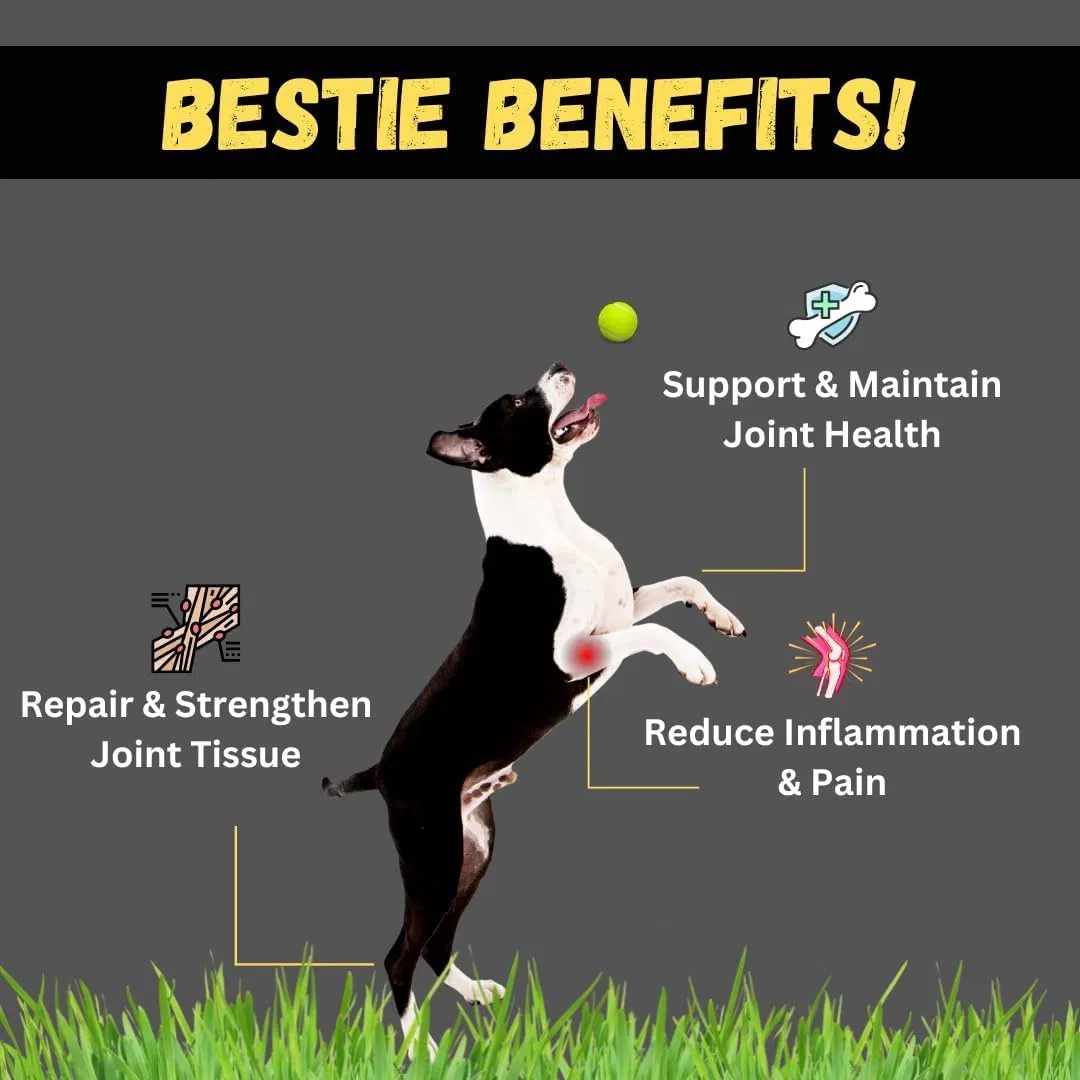 High-Quality Mobility Hip and Joint Supplement, Pet Health Care Supplement Chews, Dog Joint Treats