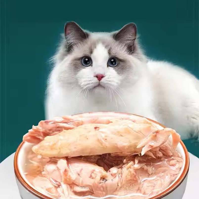 Wholesale Pet High Protein OEM Raw Meat Wet Cat Food
