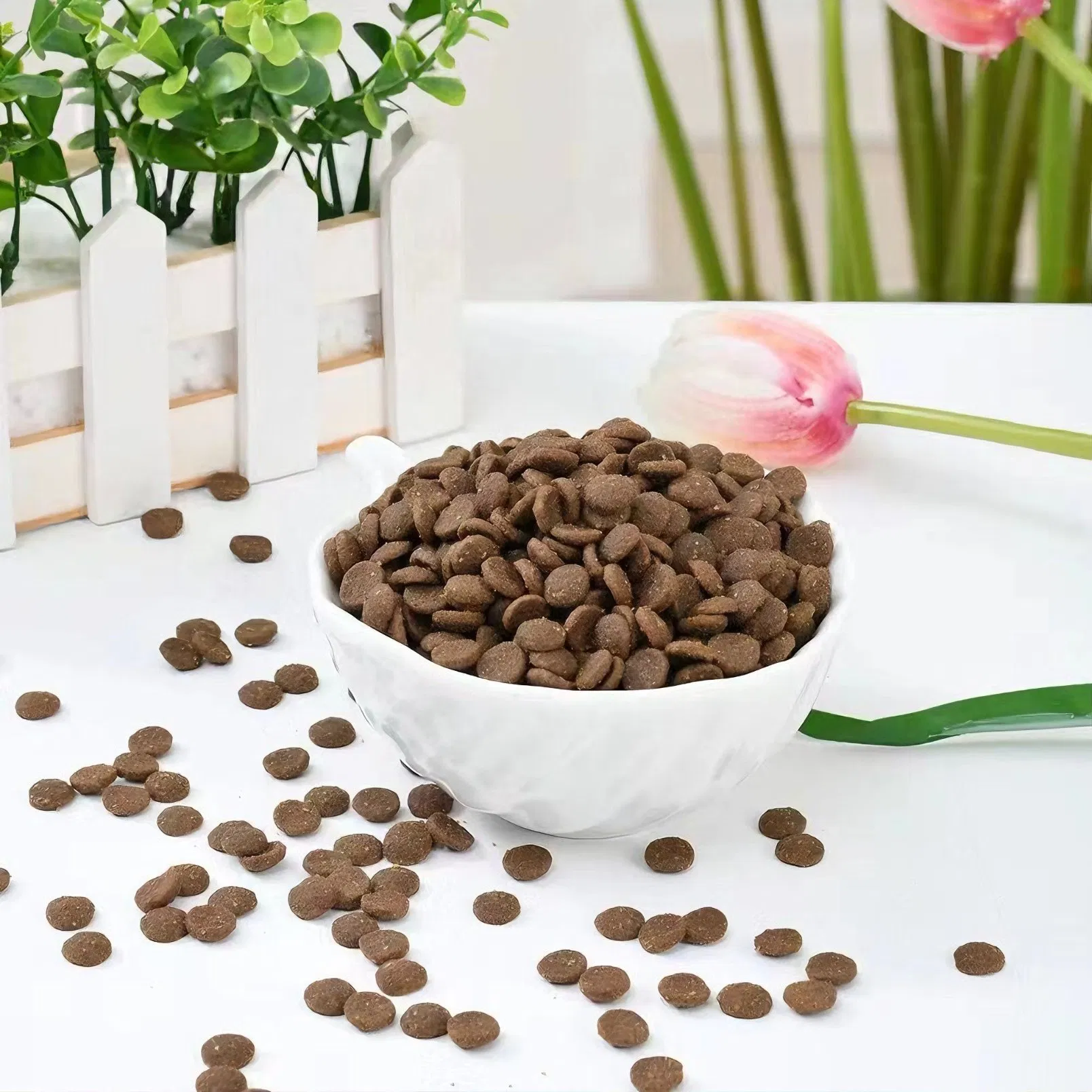 Balanced Diet Cat Kibble Supporting Beauty Skin and Digestion Dry Cat Food