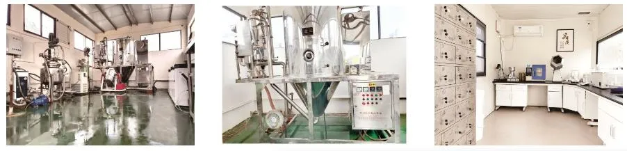 Pilot Plant Overview