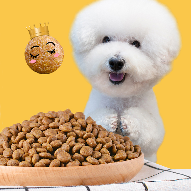 Pet Dog Dry Bichon Frise Staple Food Designed Kibble High Nutrition Protein Rich Health Care Growth 1.5kg