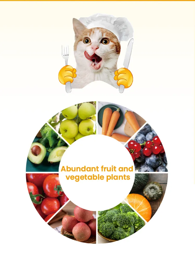Cat Food Benefits