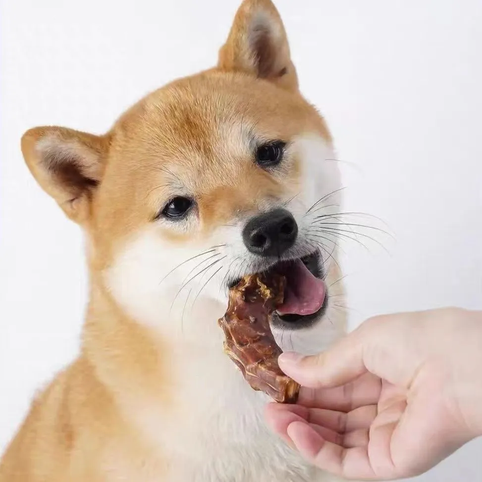 Dehydrated Duck Necks Detail 1