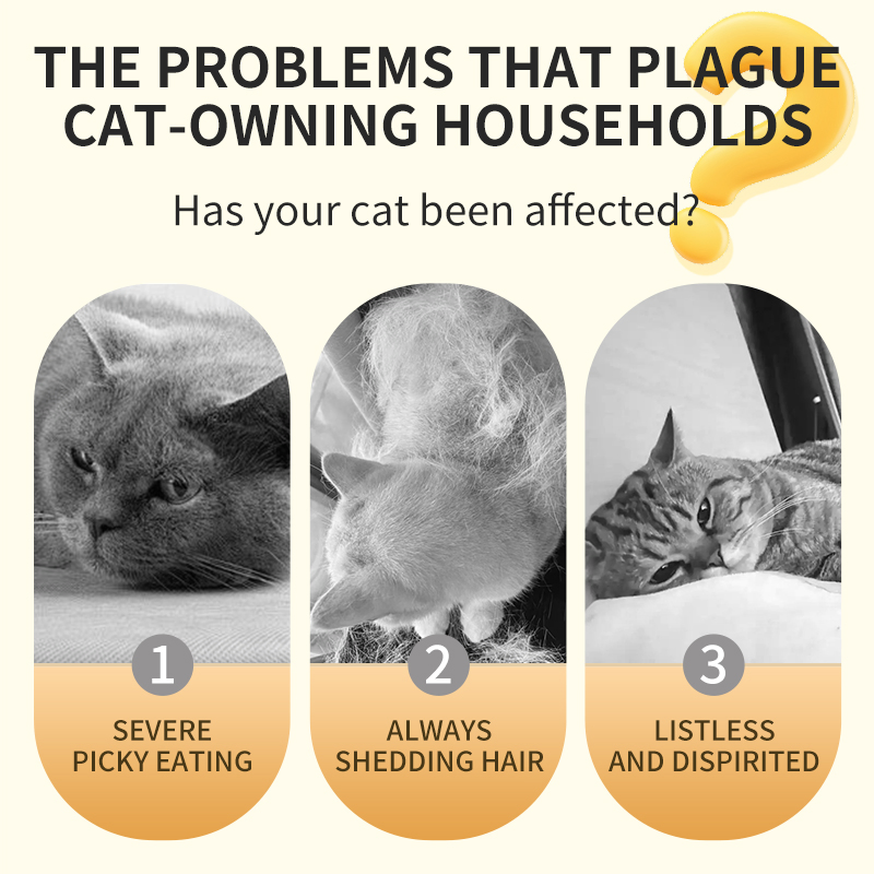 Grain-Free OEM/ODM Factory Direct Cat Snacks Pet Wet Canned Food