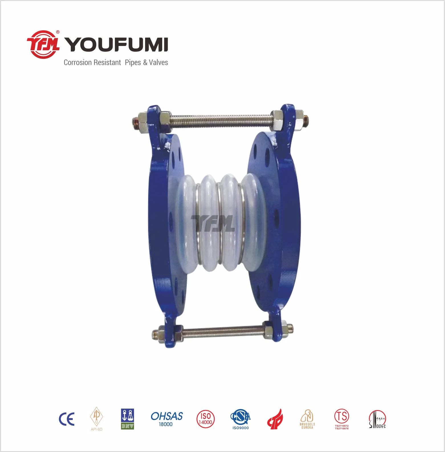 PTFE Lined Pipe Expansion Joint for Food