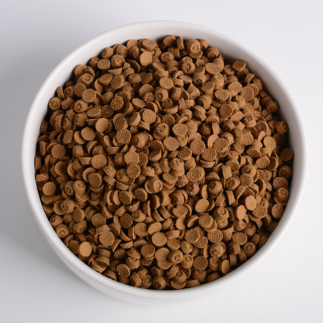 42% High-Protein 1.5kg Baked Dry Cat Food Wholesale Good Palatability Savory Kibble