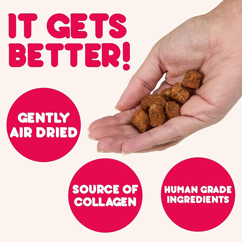 Turkey with Cranberry Semi-Moist 2.5oz (70g) Dog Treats