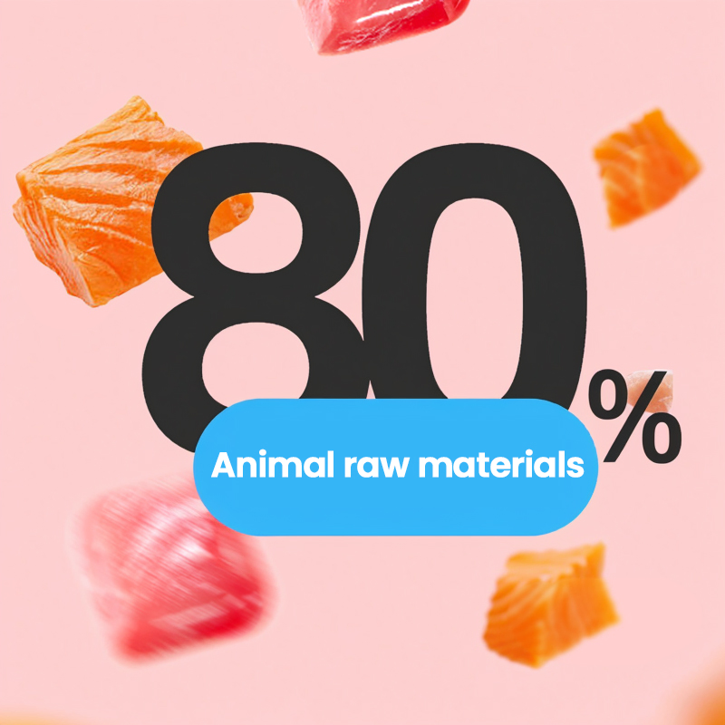 OEM Cat Food Factory Exports 10kg High Protein Pet Food Raw Chicken Flavors Customized Shapes All Age Cat Dry Food