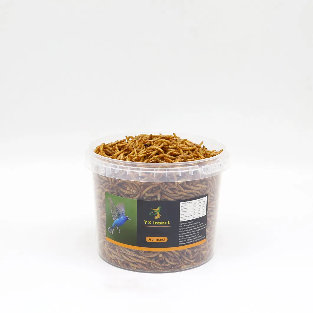 High Protein Mealworms
