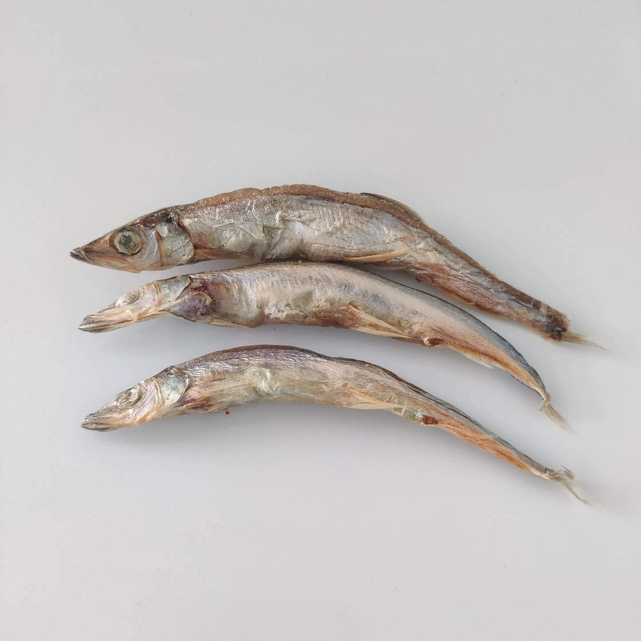 Cat Dog Pet Food Treats Freeze-Dried Capelin Nutrient-Rich Low Fat Easy-Digestion