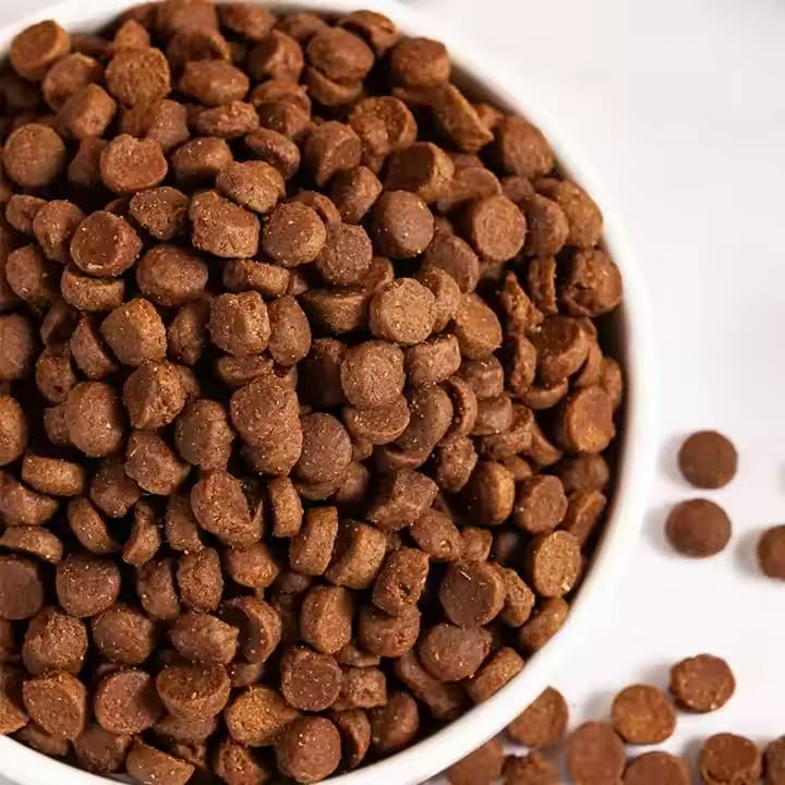 Premium Limited Ingredient Cat Food for Sensitive Stomachs