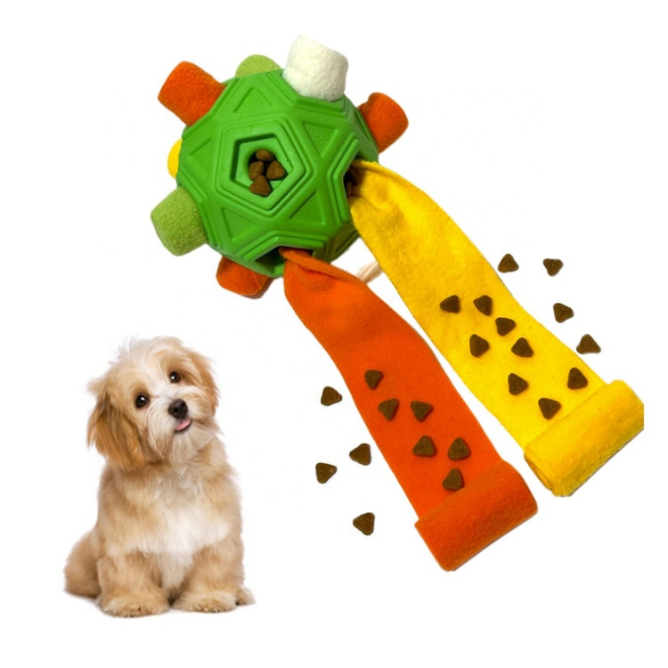 U-Pets Wholesale Interactive &amp; Movement Dog Training