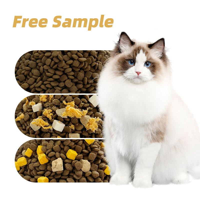 OEM/ODM China Manufacturer Wholesale Price High Protein Cat Food, 1kg Bag Balanced Nutrition Dry Kibble