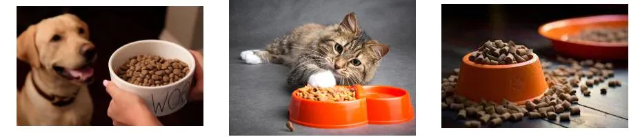 Application Scope Chart