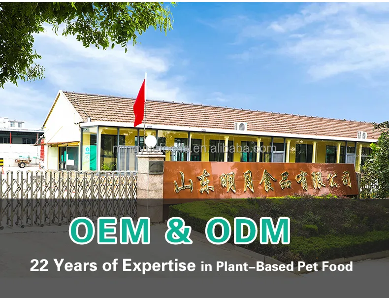 Dried Potato Cubes Factory