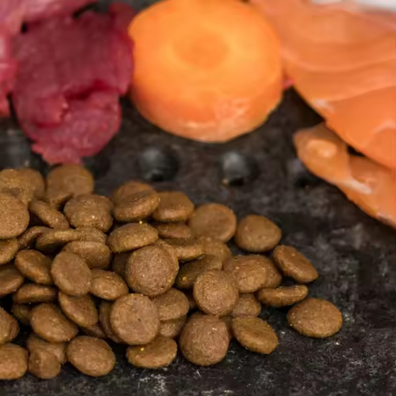 Premium Quality Dry Cat Food - Delicious Kibble for Happy Felines