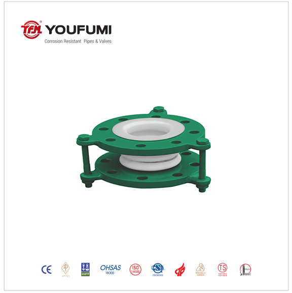 PTFE Lined Pipe Expansion Joint for Food