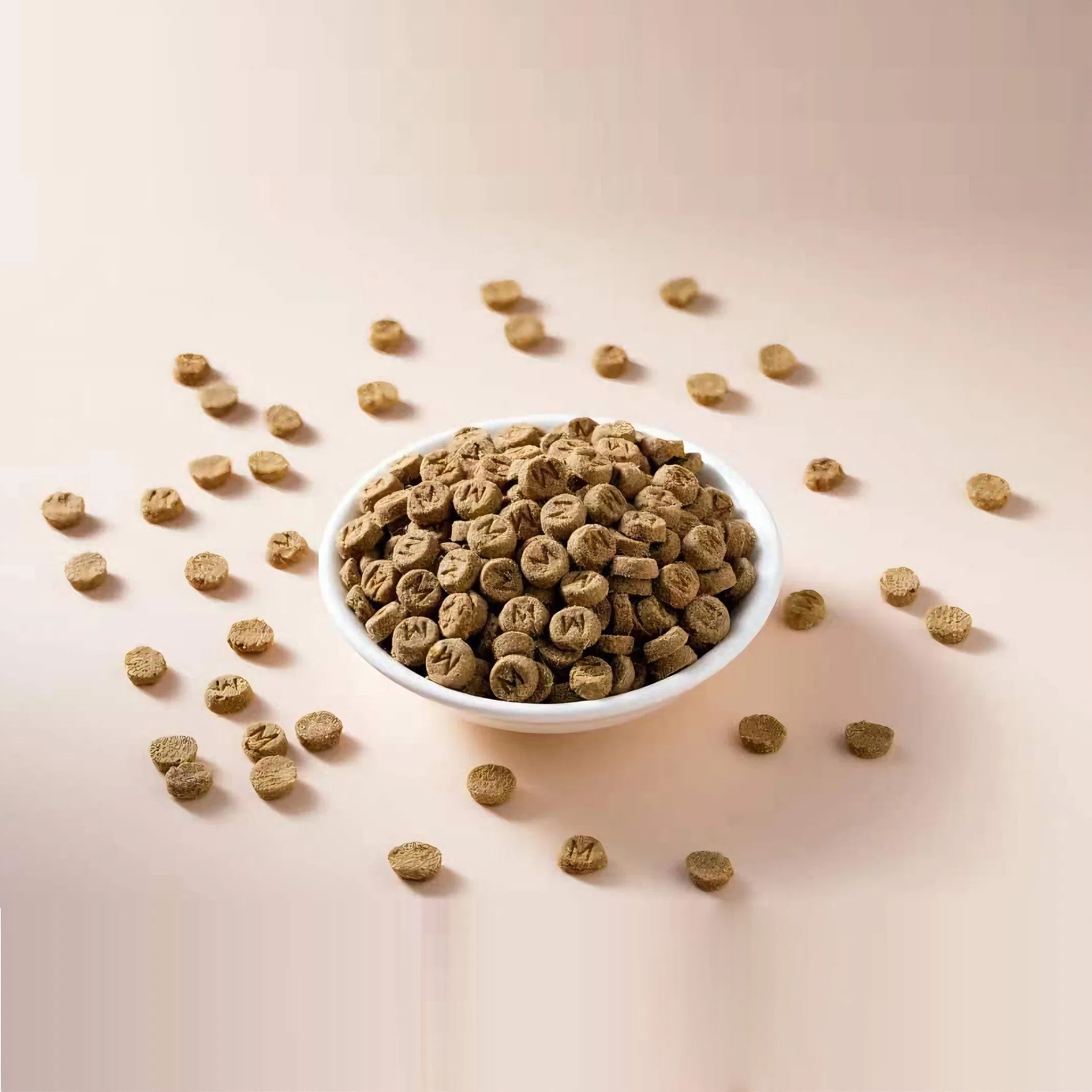 Balanced Diet Cat Kibble Supporting Beauty Skin and Digestion Dry Cat Food