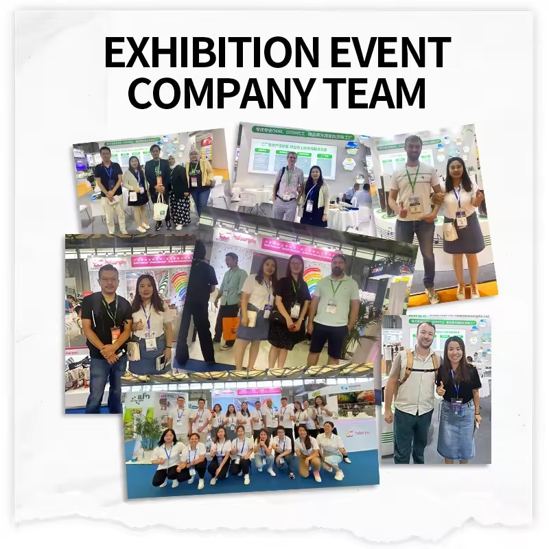 Factory Direct Supply Free Sample High Protein Nutritious Dry Dog Pet Food