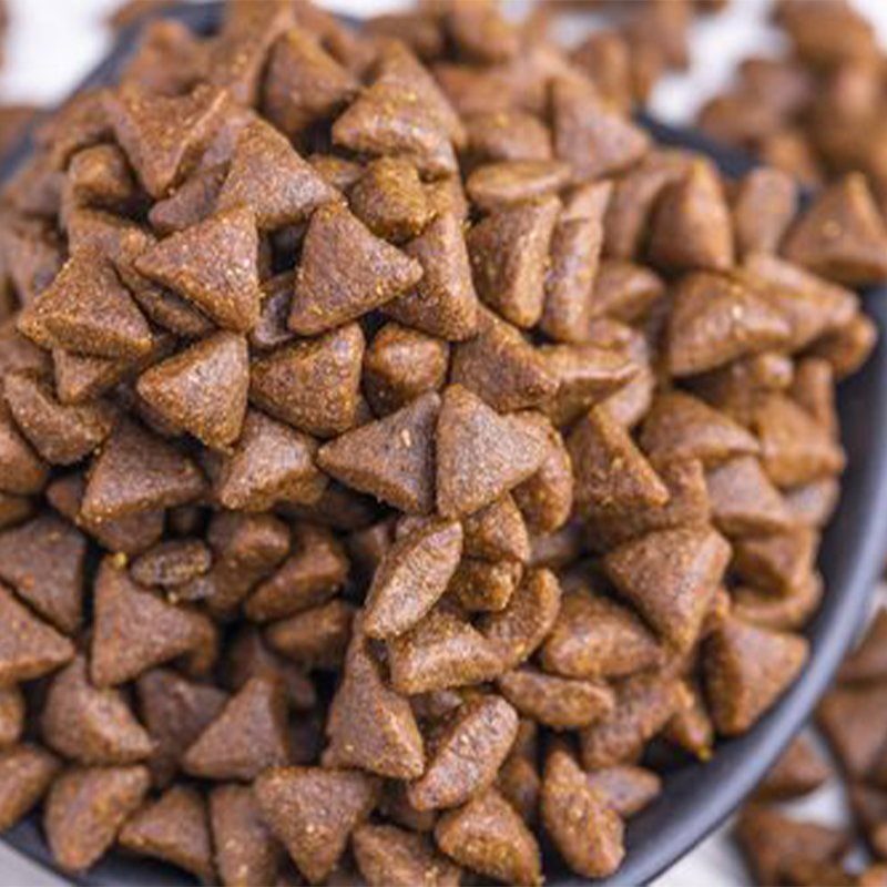 Premium Duck Cat Food for Allergies and Optimal Health