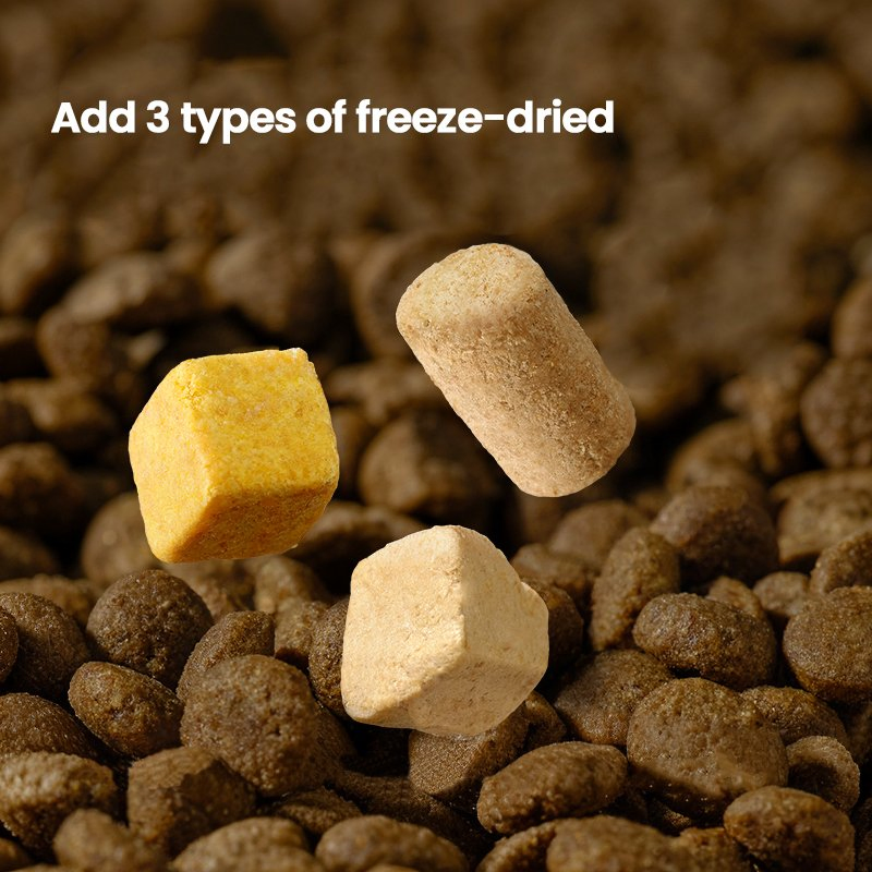 Top-Quality High-Protein Low Fat Comprehensive Nutrition Moderate Kibble Size Irresistible Aroma Custom Flavors &amp; Packaging Options Cat Food