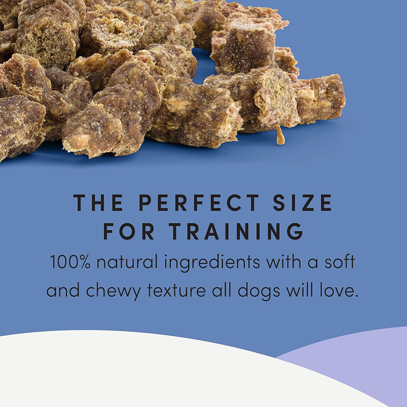 Mini Trainers Beef (Semi-Moist) 10.6oz (300g) Dog Treats