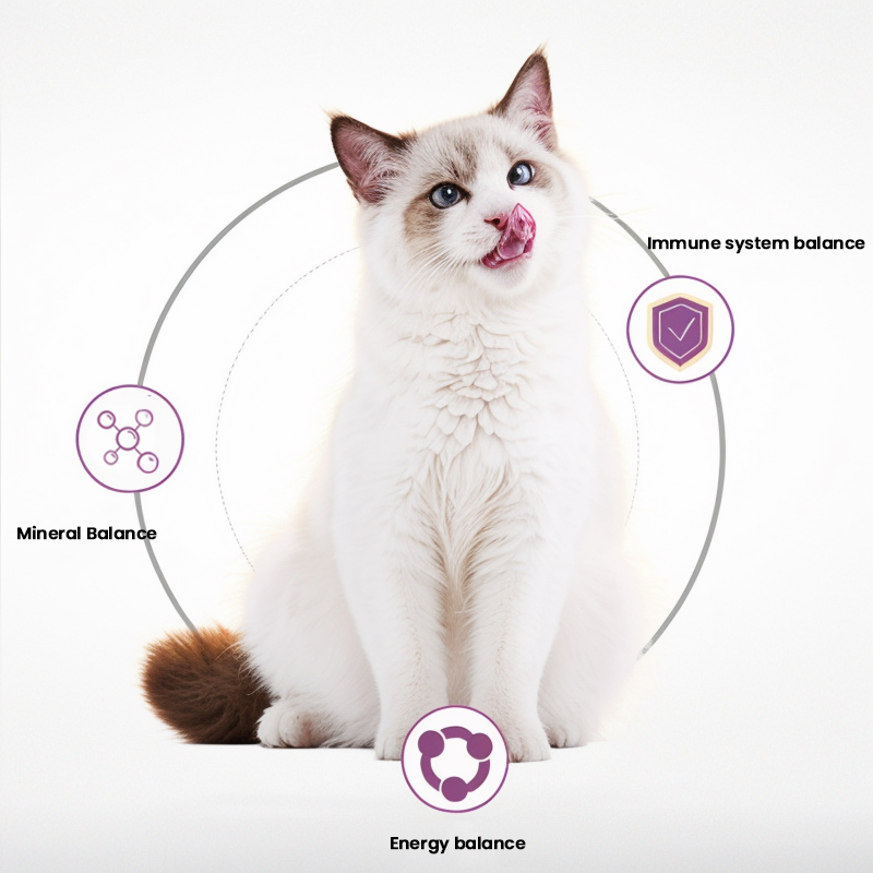 OEM/ODM Pet Cat Food Production Enriched with a Variety of Nutrients Natural Raw Materials Easy to Absorb and Easy to Digest Nutritious and Healthy Cat Food