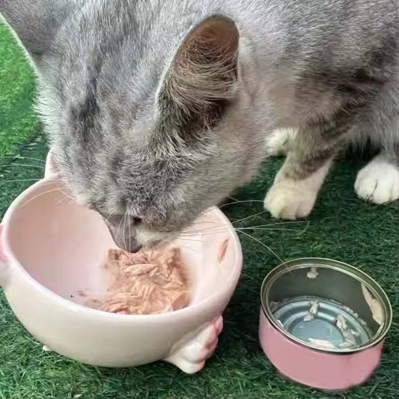 Wholesale Pet High Protein OEM Raw Meat Wet Cat Food