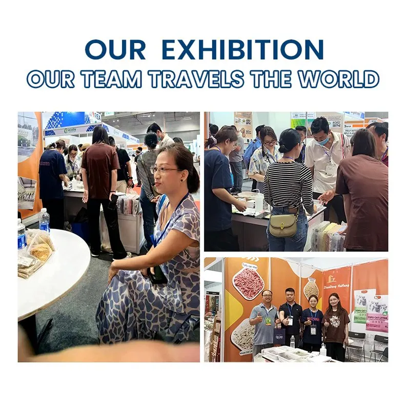 Global Exhibition