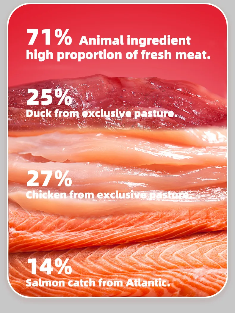 Pet Food Description 3