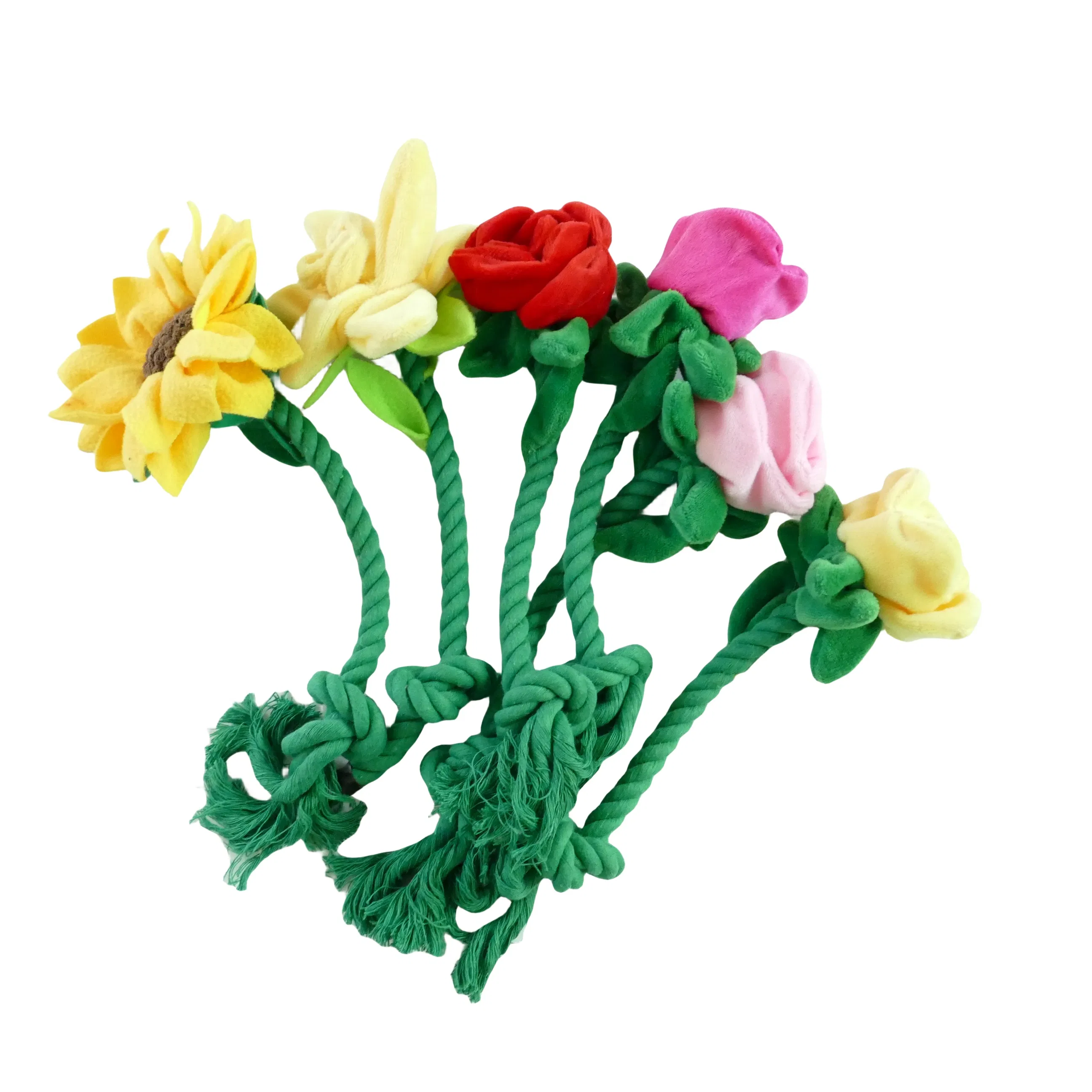 Valentine's Day Flowers Special for Dogs