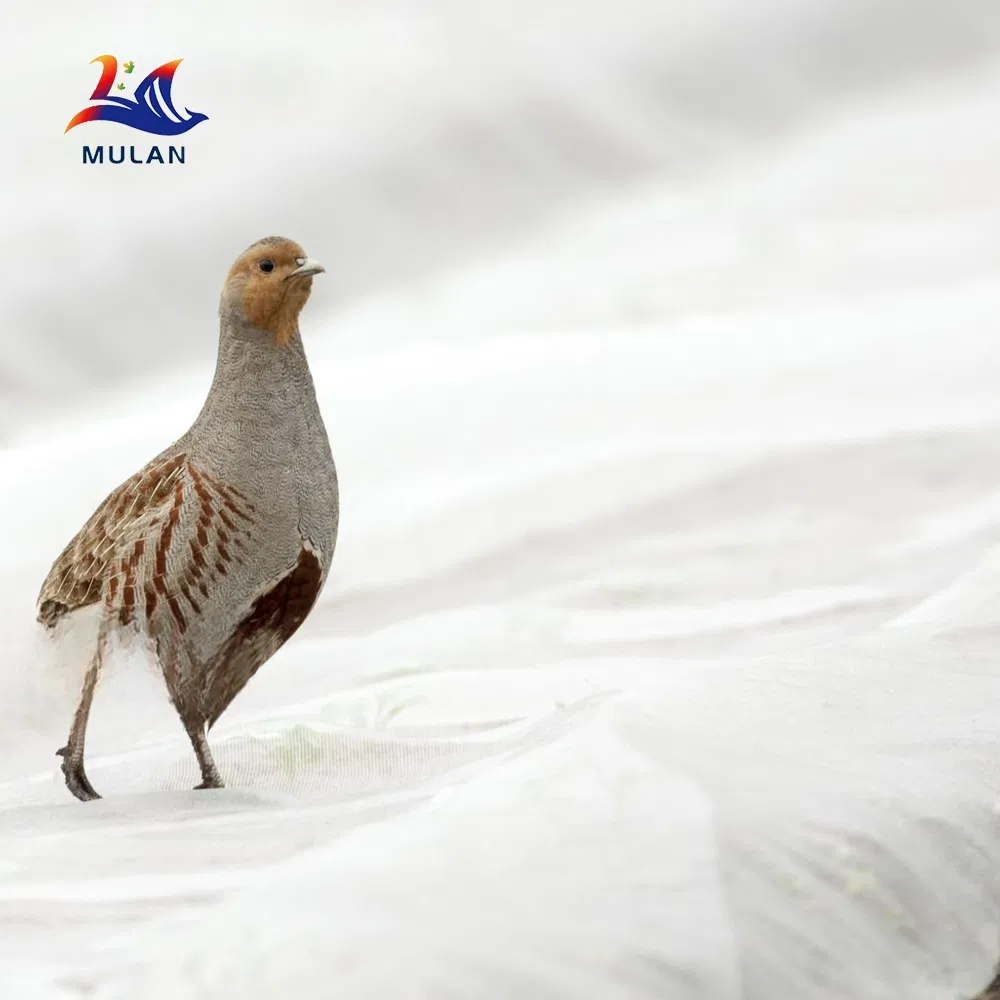 Degradable Weed Mat Anti-UV Polypropylene Spunbond Nonwoven Fabric for Organic Farm