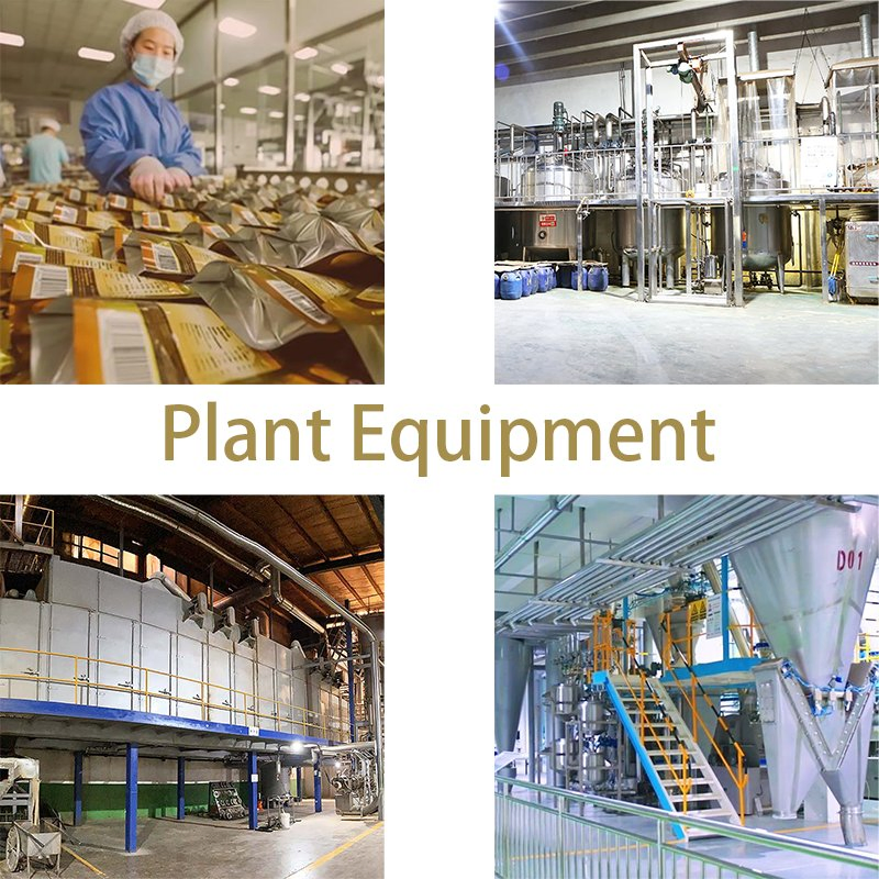 Gentle Nutrition Cat Food for Sensitive Stomach Relief and Wellness