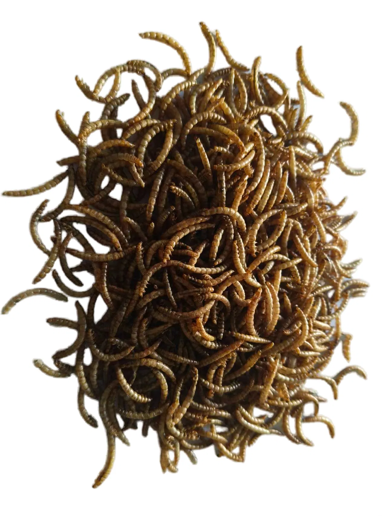 100% Natural High Protein Dry Mealworm Black Fly Dried Bread Worms Pet Treats Pet Food for Birds Hamsters