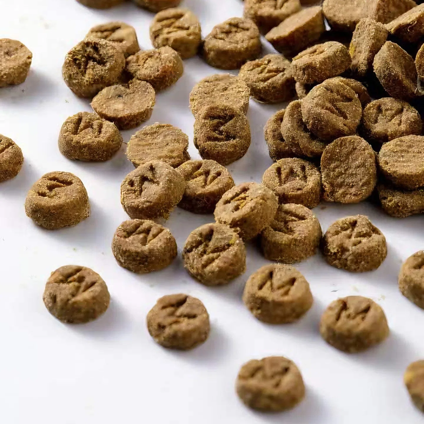 Balanced Diet Cat Kibble Supporting Beauty Skin and Digestion Dry Cat Food