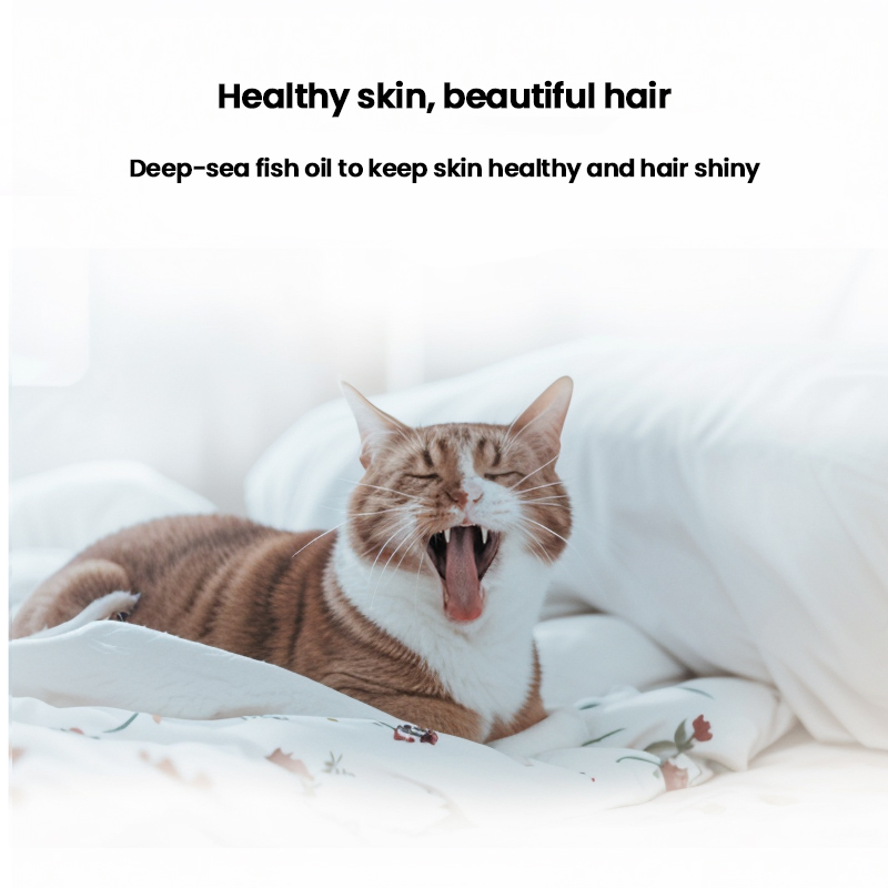 OEM/ODM Pet Cat Food Production Enriched with a Variety of Nutrients Natural Raw Materials Easy to Absorb and Easy to Digest Nutritious and Healthy Cat Food