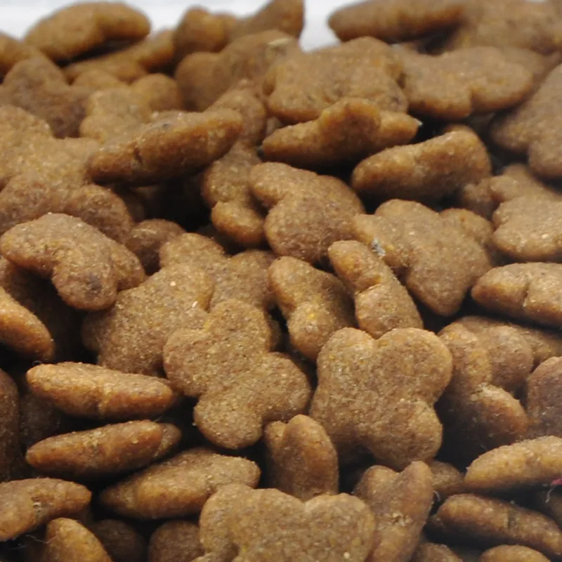 38% Protein Cat Food