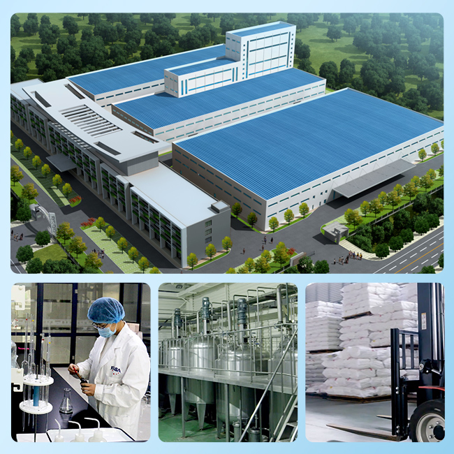 Factory Supplier Pet Cat OEM Factory Protein Dry Staple Dog Food Savory Organic Delicious Kibble Highly Palatabile Gluten