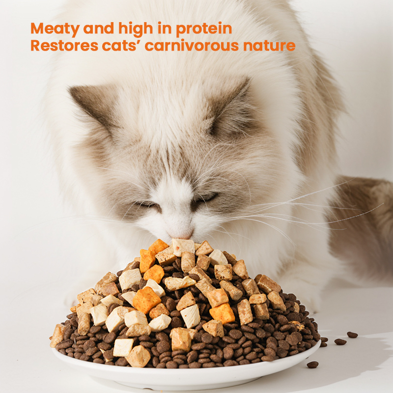 OEM Cat Food Factory Exports 10kg High Protein Pet Food Raw Chicken Flavors Customized Shapes All Age Cat Dry Food
