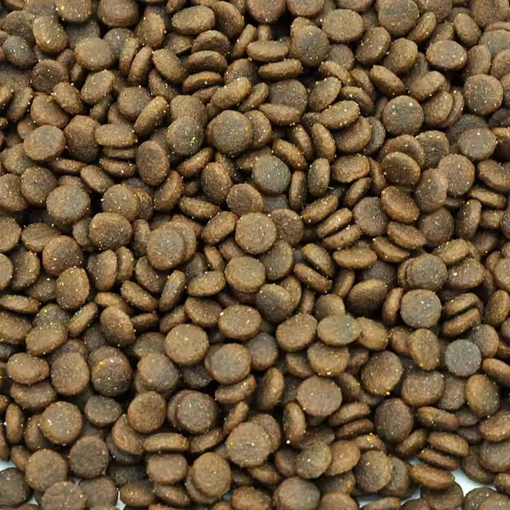 Premium Limited Ingredient Cat Food for Sensitive Stomachs