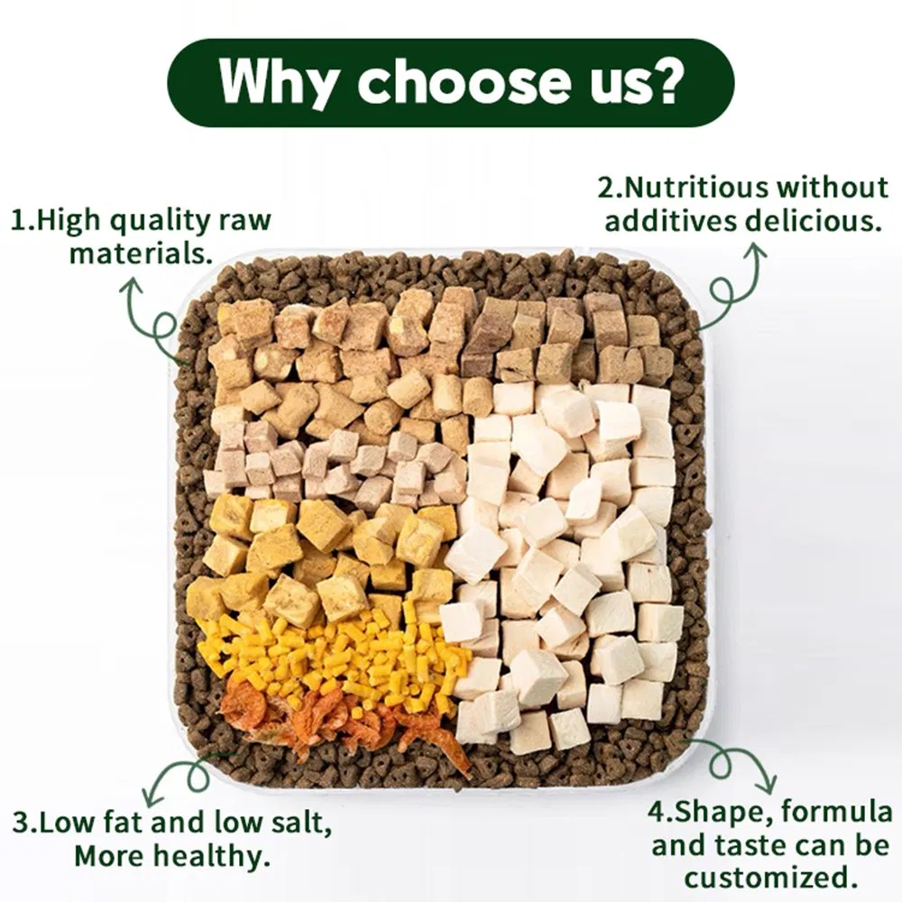 Bag Packed All Natural Custom Packaging High-Quality Pet Supply High Protein New Product Launched Pet Dry Cat Food