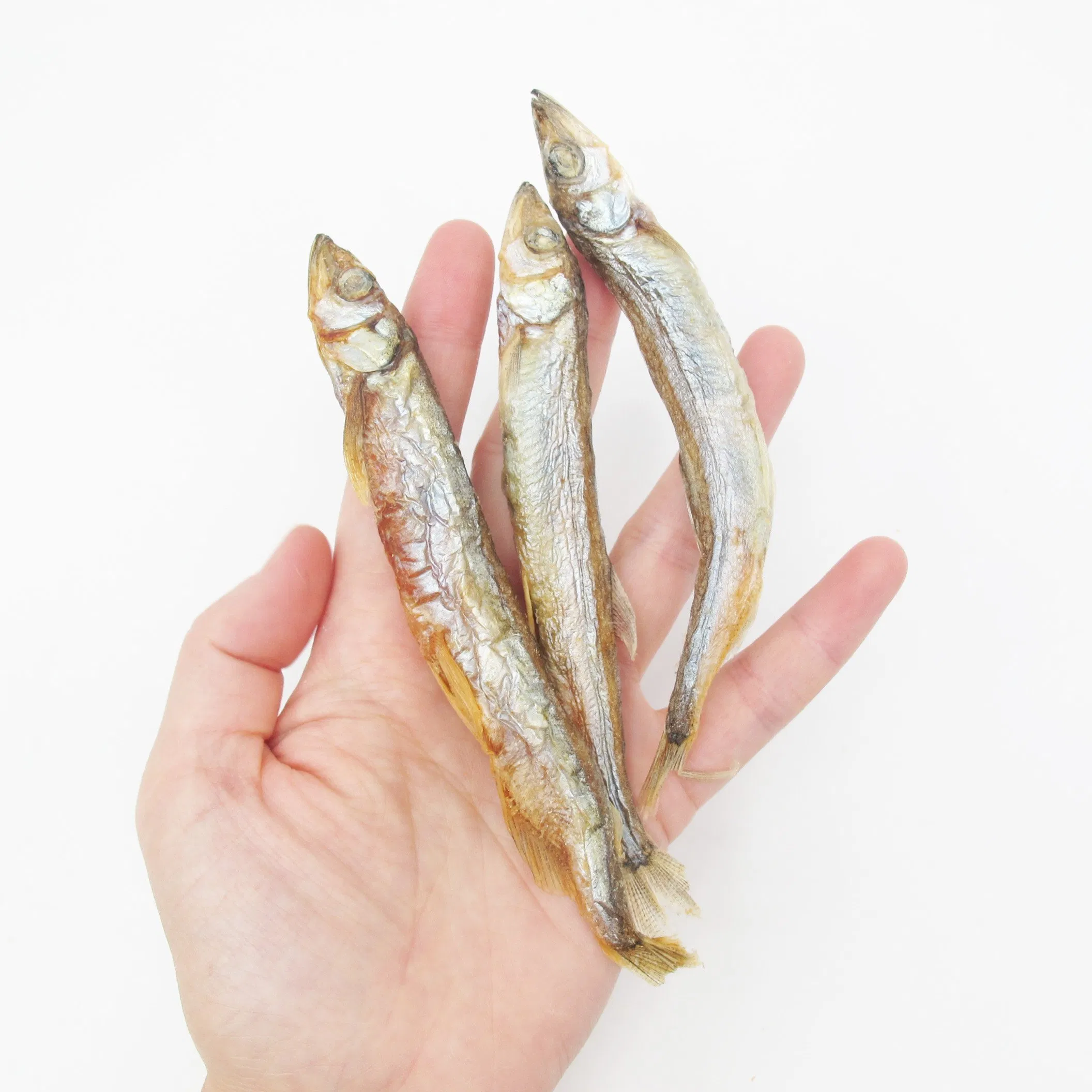 Fish Food Supply Delicious Fresh Taste Nutrition Calcium Supplement Freeze-Dried Fish Pet Food Dog Treat Cat Snack