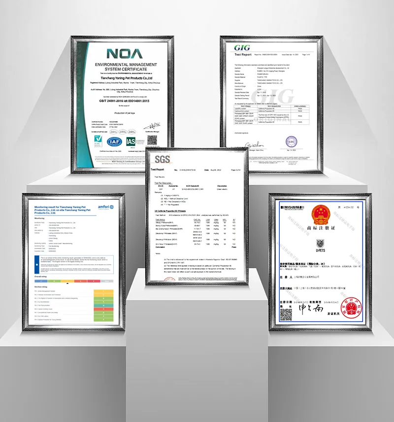 Factory Certifications