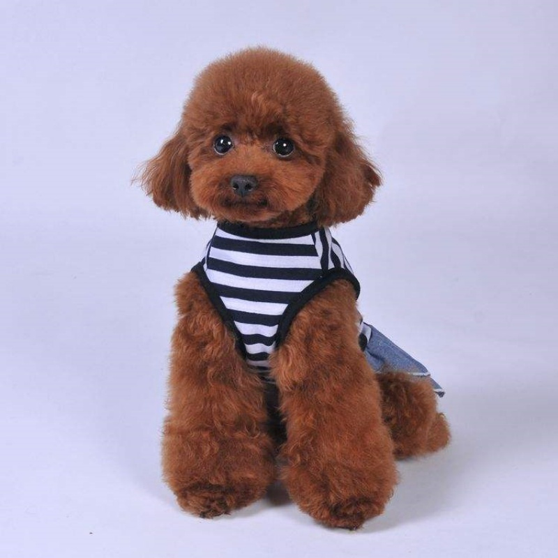 High-Quality Polyester Pet Apparel: Fashionable Summer Puppy Crew Neck Sweater